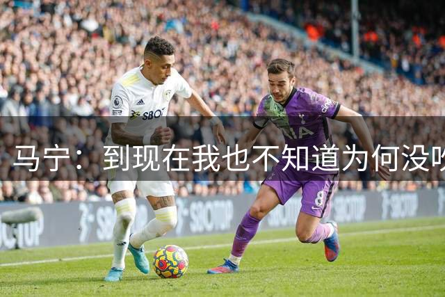马宁：到现在我也不知道为何没吹上淘汰赛